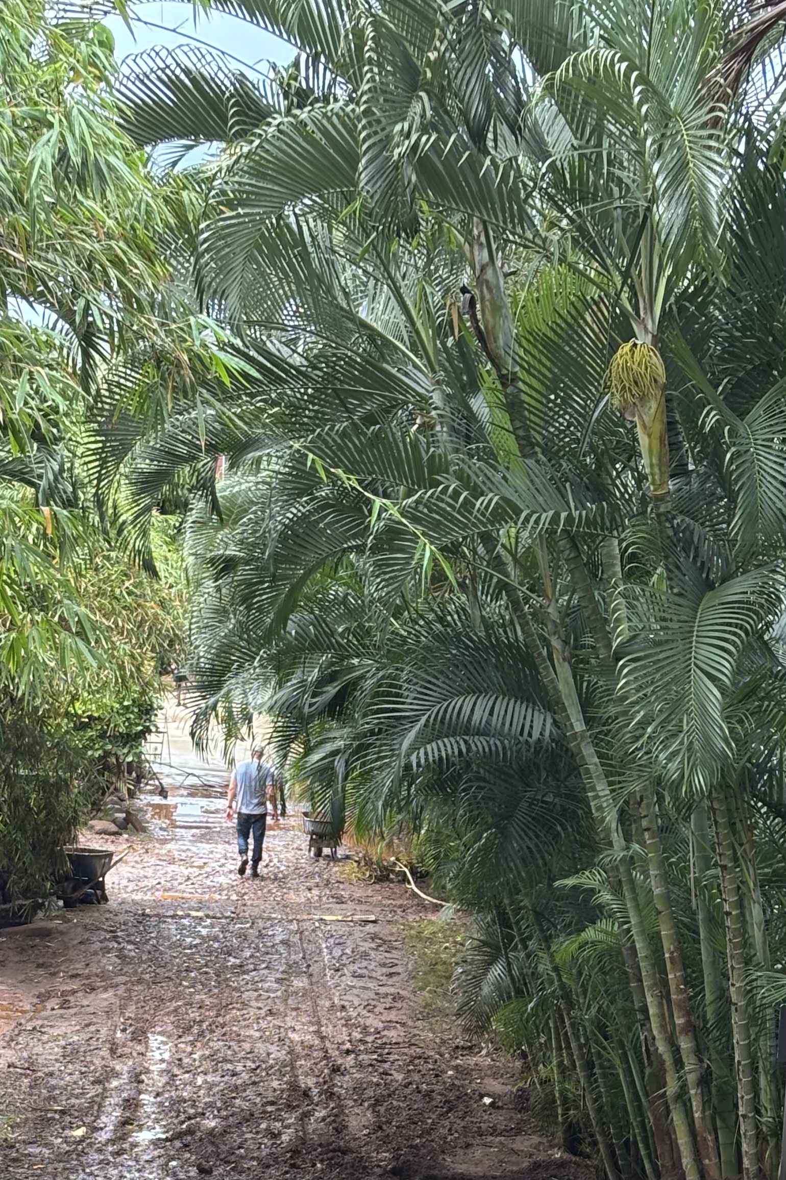 Vacation Rental Photo